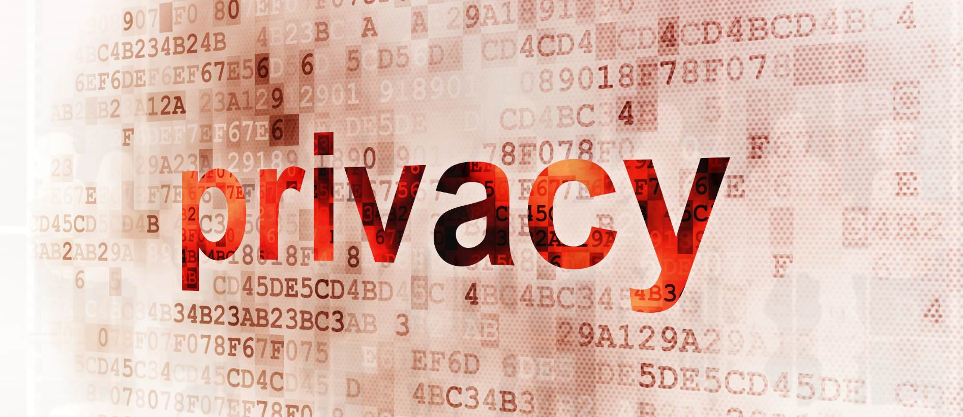 Privacy Audit
